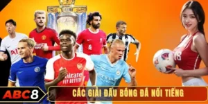 Các giải đấu bóng đá nổi tiếng