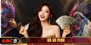 Đá gà Peru