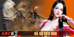 Chiến thuật lên cựa trong đá gà cựa dao