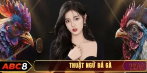 Thuật ngữ đá gà