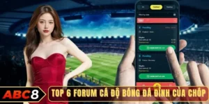 Top 6 forum cá độ bóng đá đỉnh của chóp