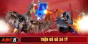 Tầm ảnh hưởng của trận đá gà 24 tỷ