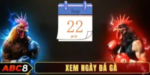 Xem ngày đá gà