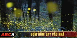 Đom đóm bay vào nhà - Điềm báo may mắn hay cơ hội trúng số